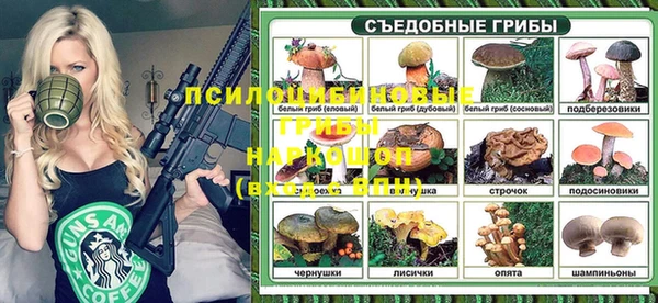 крисы Аркадак