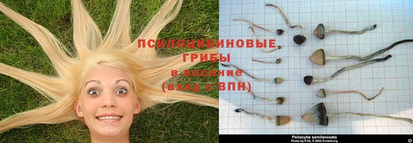 кокаин премиум Арсеньев