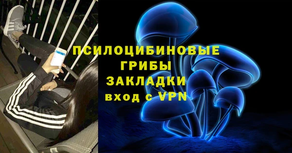 apvp Алексеевка