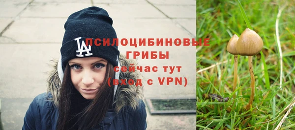 крисы Аркадак