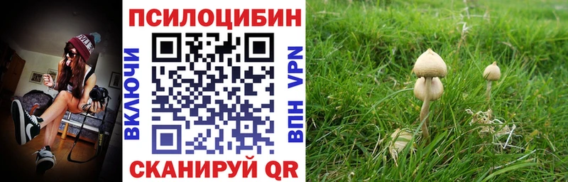 Галлюциногенные грибы ЛСД Лагань
