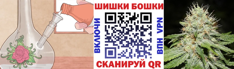 сколько стоит  Лагань  Шишки марихуана марихуана 